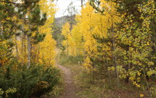 Doe Creek Trail Path